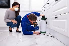 Best Commercial Pest Control  in Whiteland, IN